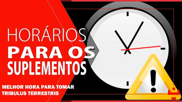 Melhor horário para tomar 3XPower
